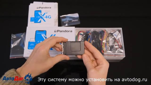 pandect x4g смотреть онлайн