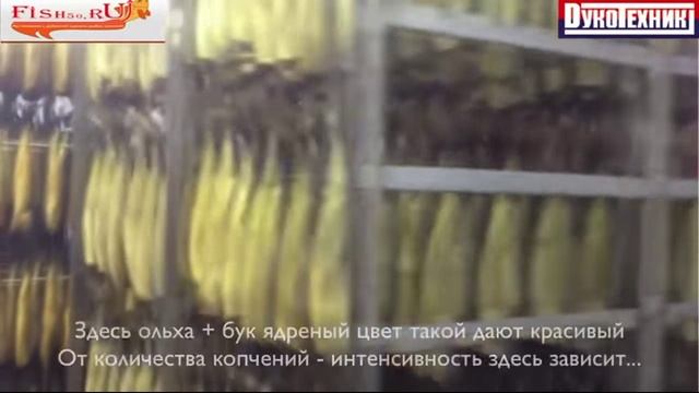 Камера горячего и холодного копчения - рыбы, мяса, сыра или любых продуктов. Коптильная термокамера