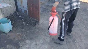 Протравка семян рапса в бетономешалке!