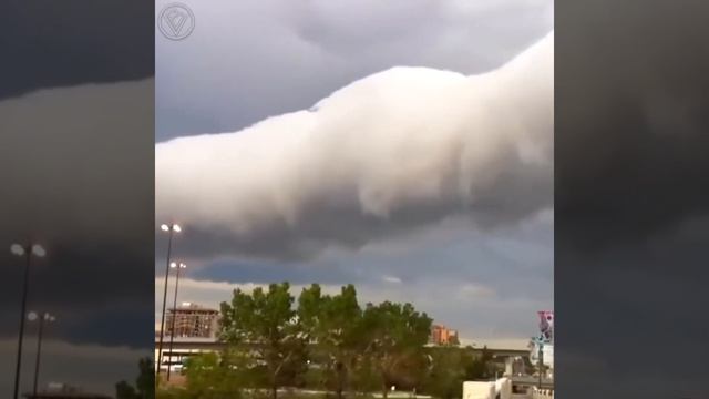 Удивительные природные явления смотреть онлайн