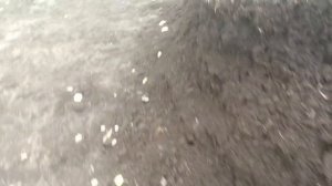 Коровий перегной лучшее удобрения.