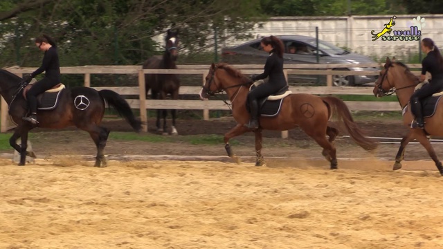 Коллективный интеллект смотреть онлайн