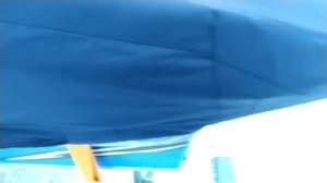 Орионбот 43 Фиш