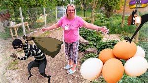 Кто-то украл наши яйца! Купила гортензию и расстроилась! Покрасили козовник. Крымский хутор