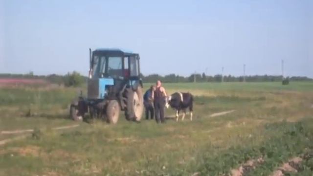 прикол)))))