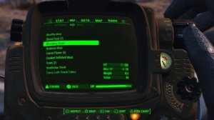 Fallout 4