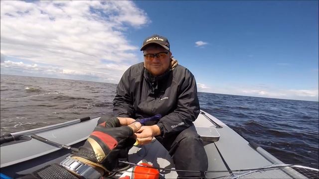 2018 Опять порем рыбу смотреть онлайн