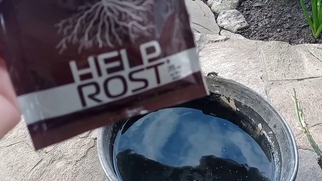 И снова про ПЛЮЩИ! Для тех, кто интересовался. смотреть онлайн