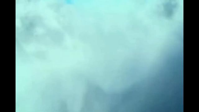 О книге О.  Роя “Джинглики” за 60 секунд