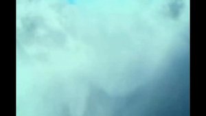 О книге О.  Роя “Джинглики” за 60 секунд