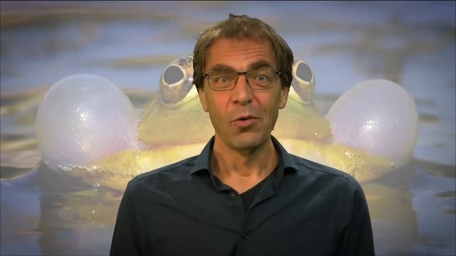 Introduction to Animal Behaviour | WageningenX on edX | Course About Video смотреть онлайн