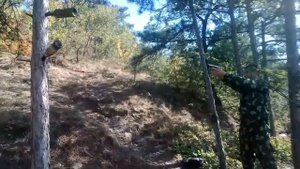 Травмат пм  9 мм,отечественное лучше
