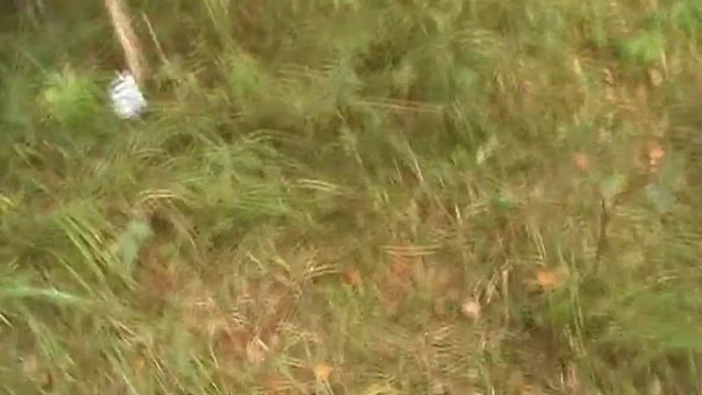 От Орды и до Советов. Часть 2 - Хорошие находки, первые царские монеты жены. смотреть онлайн