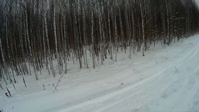 Охота. Заметки охотника #19. За зайцем с русской гончей. Добыл зайца с гона. Hunting in Russia
