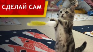 Как сделать игрушку для кота с кошачьей мятой