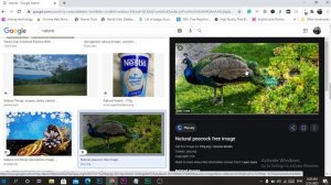 How to download copyright-free images from google |  Use google images without copyright in 2023