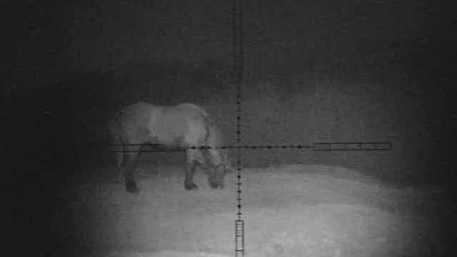 CCD ICX 811 4140, 5W 850nm, Hawke Panorama 3-9/40 AO смотреть онлайн