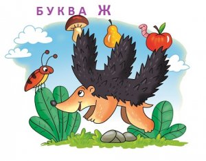 Буква Ж. Пишем и читаем
