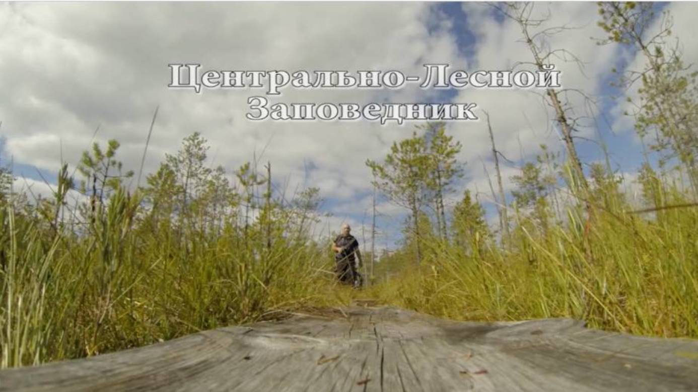 Центрально-Лесной заповедник