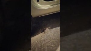 Арки авто больше не гниют... АНТИКОР бюджетно своими руками (пушечной жир и отработка)