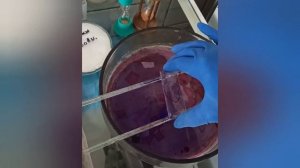 Мазок по Граму, Техника выполнения покраски, микроскопия мазка