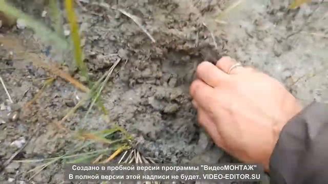 Мосина и алюминий смотреть онлайн