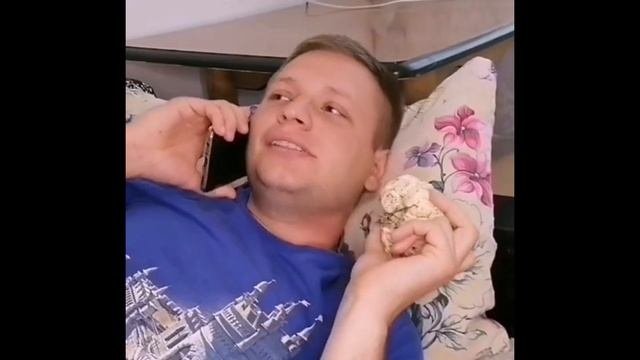 Смешное видео