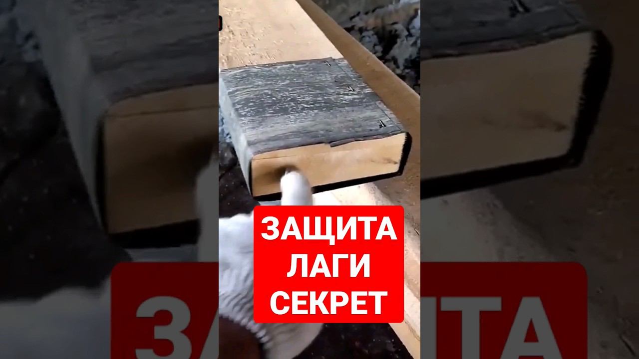 Как защитить лаги?! #братьязахарята #zахарята #максимзахаров