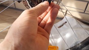 слабое место в втулке велосипеда STINGER ZETA STD 29