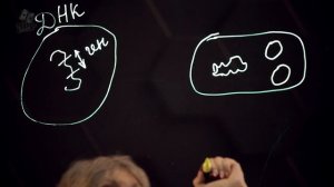 Общая схема биотехнологического производства, ее значение. 9 класс.