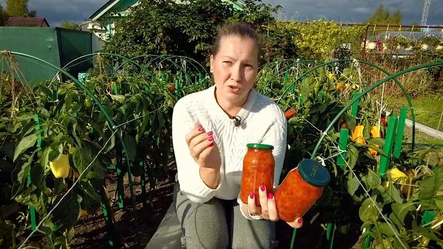 Тавиньяно, Арчи, Регор, Гороспел - урожайные, выносливые гибриды перца Супер урожай и отличный вкус