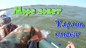Море зовет, тарань клюет!.mp4
