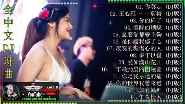 【你莫走 ● 王心雅 - 一剪梅 ● 你的样子 ● 酒醉的蝴蝶】DJ REMIX 最受欢迎的歌曲 ● 2020 年最劲爆的DJ歌曲 ● 全中文慢摇串烧 ● 中文舞曲【最強】