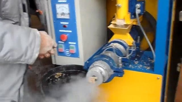 Демонстрация приготовления мучки с семенами амброзии. Оборудование для животноводства ПОСТАВКА ПО Р