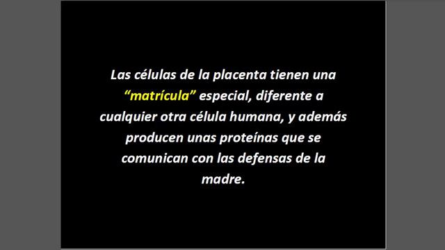 Cambios En El Embrion El Corazon El Cerebro Se Desarrolan смотреть онлайн