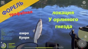 Русская рыбалка 4 - озеро Куори - Форель трофейная за островом