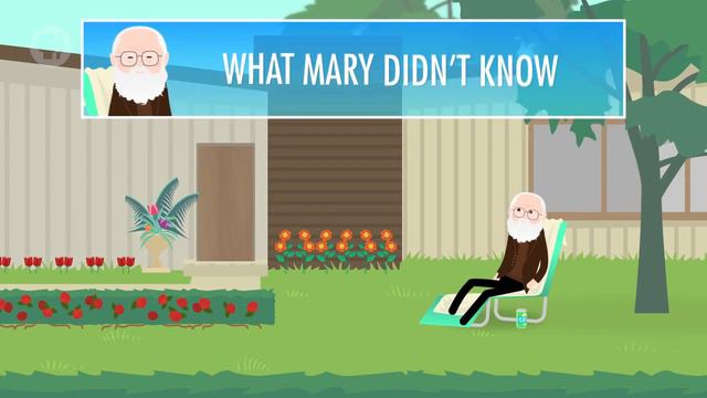 Где обитает личность? Ускоренный курс философии [Crash Course на русском] смотреть онлайн