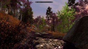 SKYRIM S.E. - Fantasy Forest Overhaul [mod]-The Zuell