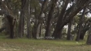 5 Самых необъяснимых и странных существ и призраков, заснятых на Камеру