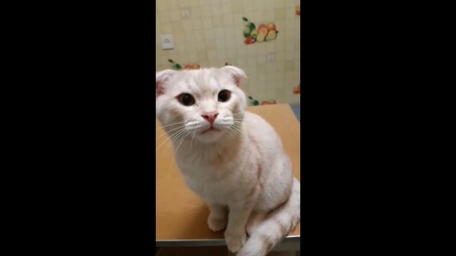 Зак♡♡♡