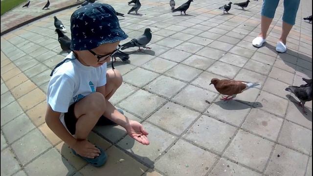 Омск-Новороссийск 7 день нашей поездки.  Станица Каневская.  Гуляем по парку, зоопарку и т.д. смотреть онлайн