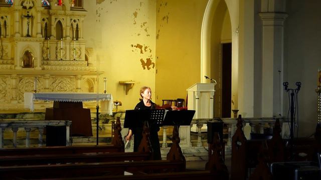 Ave Maria (Schubert) - violin and organ смотреть онлайн