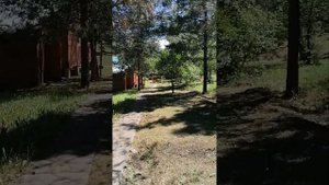 Турбаза летний сад Горный алтай