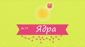 Atompix Chemistry. Урок 1. Ядра