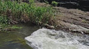 Сап сплав, Каньон 01.05.2024