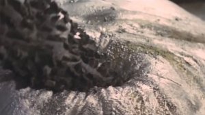 Годзилла и его враги - Хедора (Hedora)