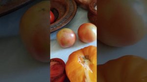 знакомьтесь, Лонг Купер, томат долгого хранения. #дача #томаты