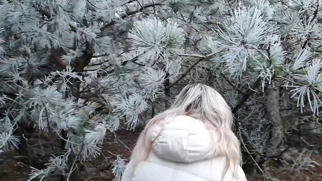 Феодосия. Зимняя СКАЗКА смотреть онлайн