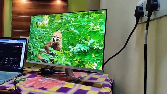 HP M24F Full HD Monitor смотреть онлайн