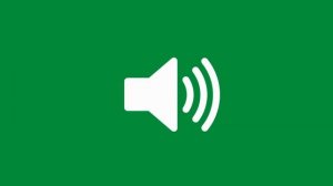 Крик мужчины (звук)